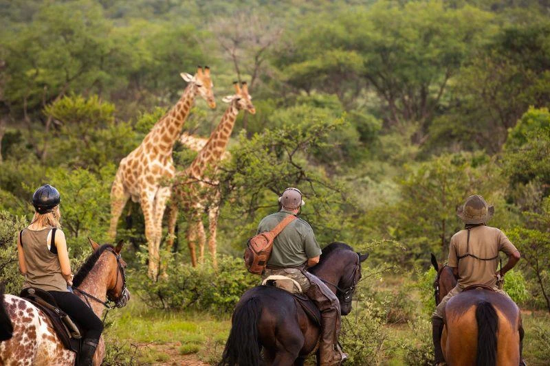 Planeamento e dicas de viagem para a Tanzânia