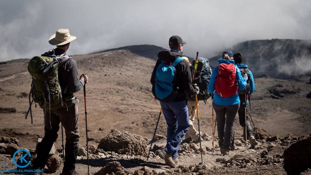 Caminhada de 1 dia no Monte Kilimanjaro pela rota Marangu