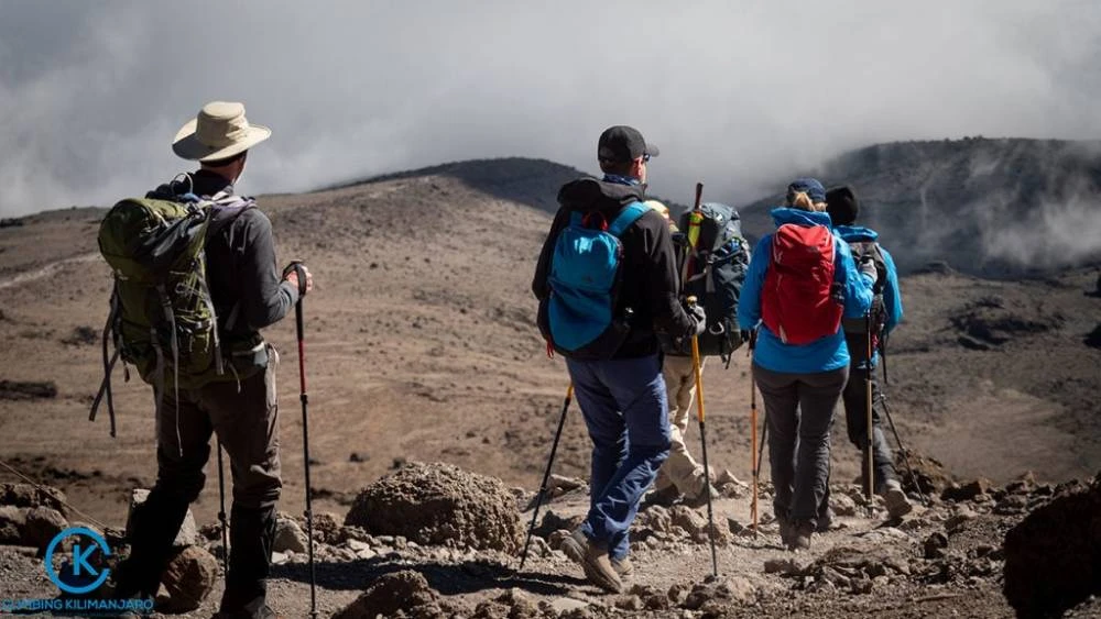 Caminhada de 1 dia no Monte Kilimanjaro pela rota Marangu