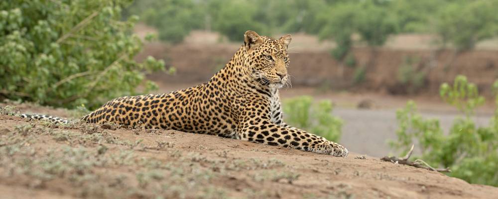 Lago Manyara NP de 1 dia