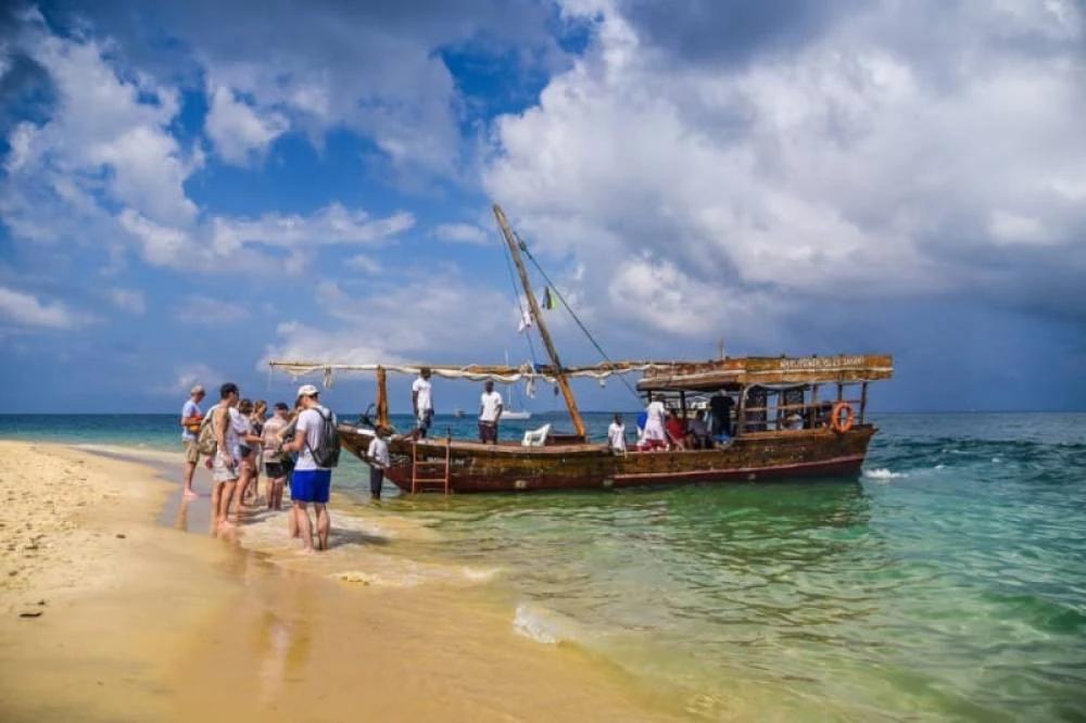 Excursão Safari azul.